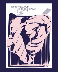 Snímek obrazovky 2018-08-06 v 23.06.47