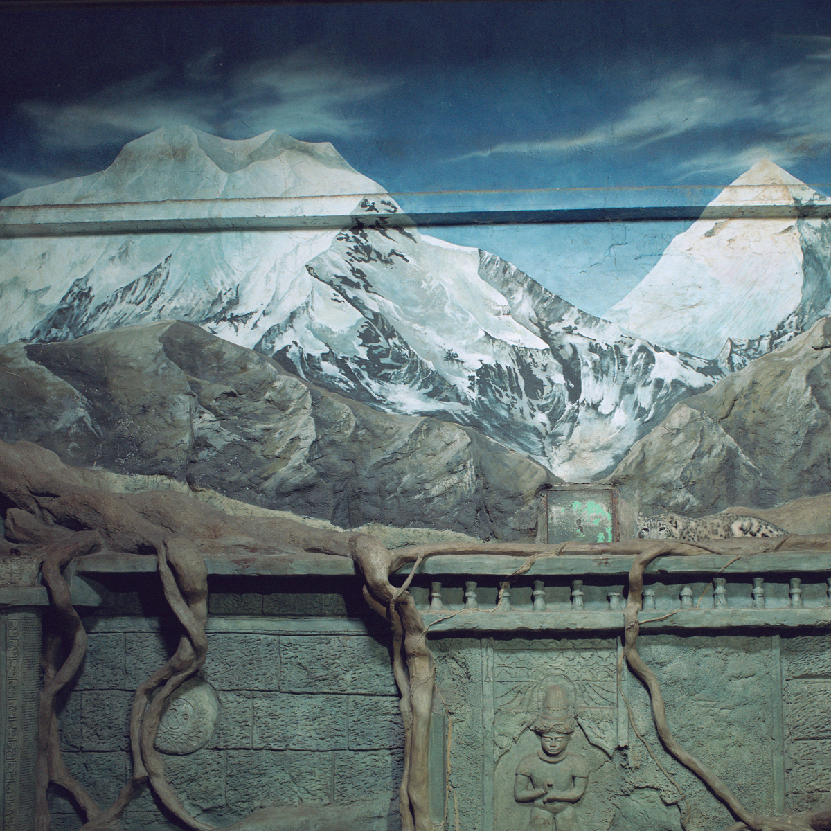 Additional Image